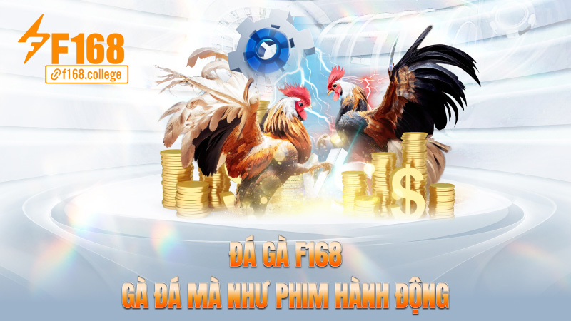 Đá gà f168 – Gà đá mà như phim hành động