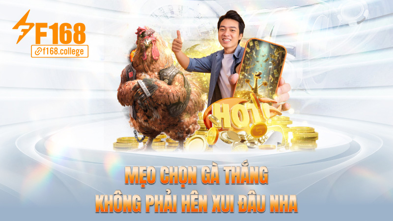 Mẹo chọn gà thắng – Không phải hên xui đâu nha
